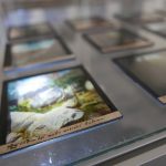 Historie zachycená na skle, výstava skleněných negativů a fotografické techniky