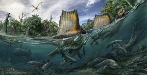  Spinosaurus patřil k největším masožravým dinosaurům jak na souši, tak ve vodě. Autor: Davide Bonadonna, Scientific supervisor: Nizar Ibrahim and Simone Maganuco