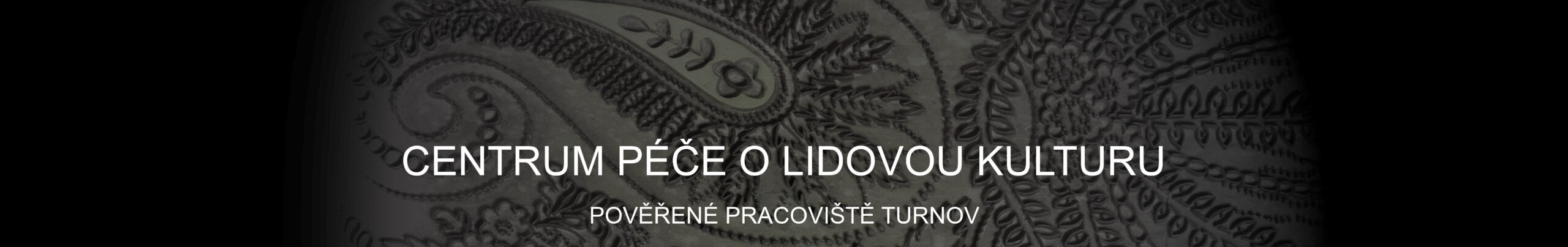 Web banner pověřeného pracoviště