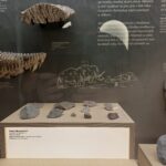 Instalace expozice Archeologie Českého ráje