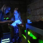 Luminiscence expozice