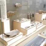 Expozice Archeologie Českého ráje