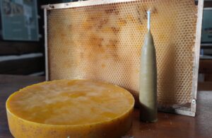 Svíčka z včelího vosku; Dílna