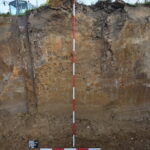 Středopaleolitická stanice lovců a sběračů na Vesecku